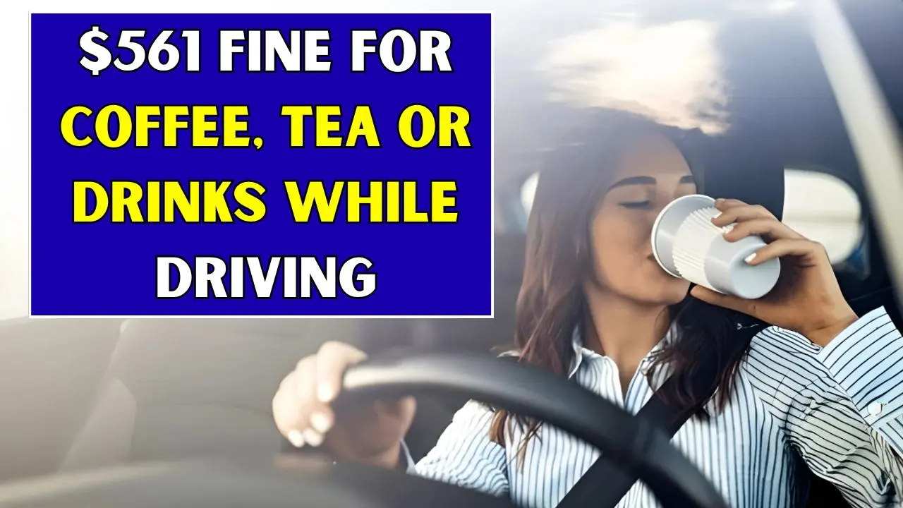 561 Fine for Coffee Tea or Drinks While Driving